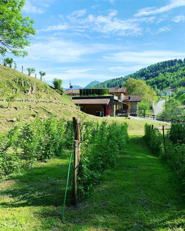 Agriturismo Il Talento Nella Quiete Castiglione dʼIntelvi Eksteriør bilde