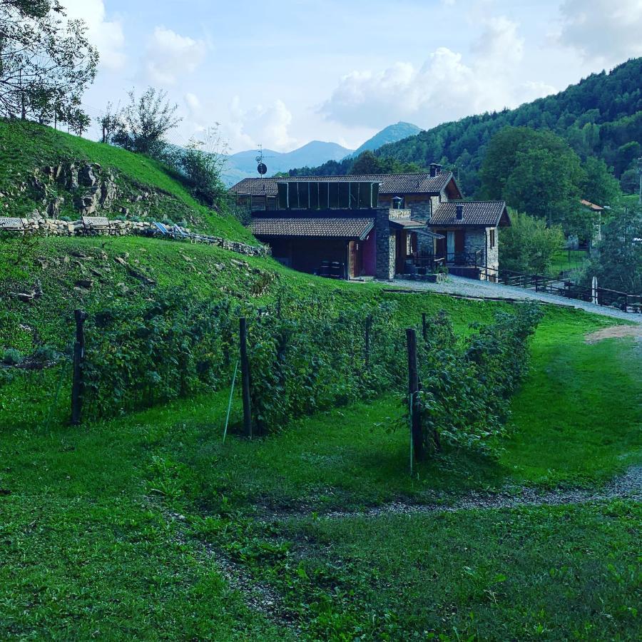 Agriturismo Il Talento Nella Quiete Castiglione dʼIntelvi Eksteriør bilde