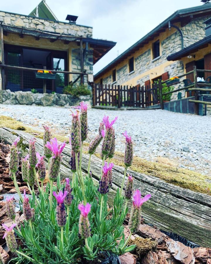 Agriturismo Il Talento Nella Quiete Castiglione dʼIntelvi Eksteriør bilde
