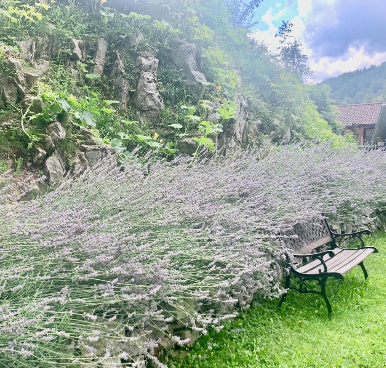 Agriturismo Il Talento Nella Quiete Castiglione dʼIntelvi Eksteriør bilde
