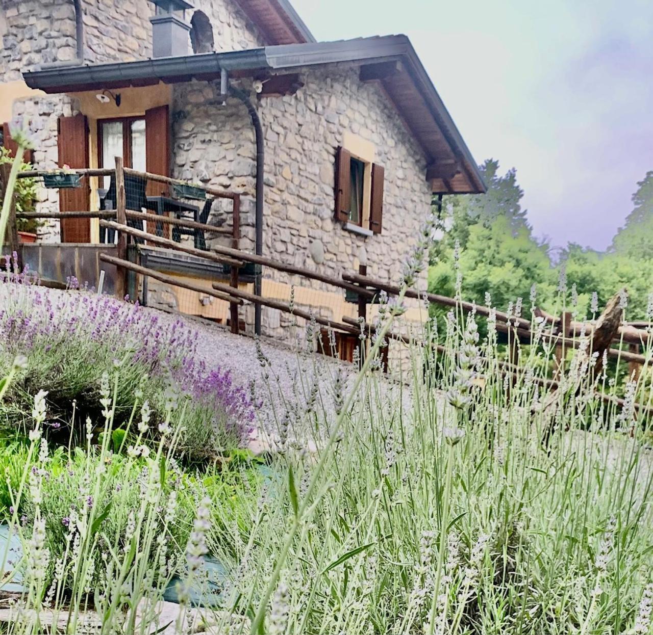 Agriturismo Il Talento Nella Quiete Castiglione dʼIntelvi Eksteriør bilde